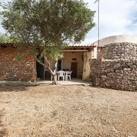 Pajara La Turre